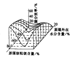 圖片5